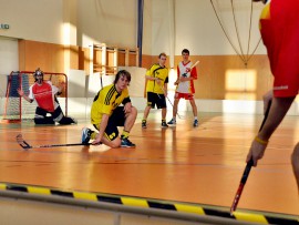 trebic-ju-120317a.jpg