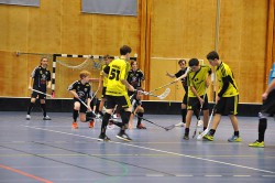 gothia_2014-0031.jpg