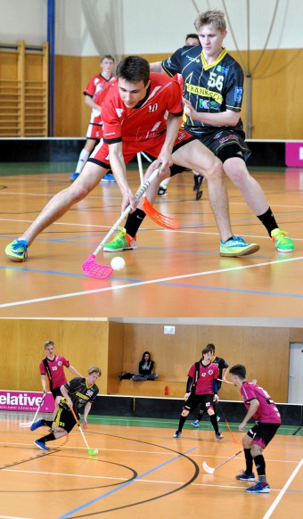trebic-j-190413-013-vert.jpg
