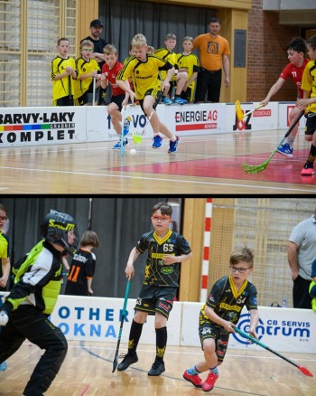 innebandy-c-vert.jpg