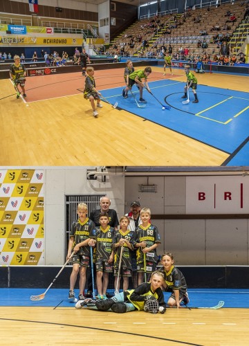 brno-tur.el-vert4.jpg