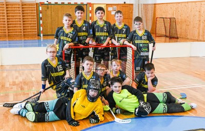 m.budejovice-250209-spol..jpg