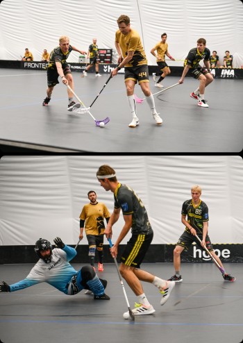 afl-vert.jpg