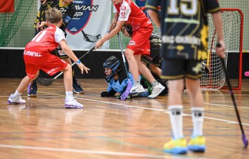 54772478812_63ef1146d9_c.jpg